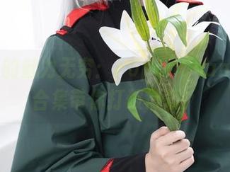 芙莉莲的魅力无穷：PoppaChan的图片合集带你打破常规！