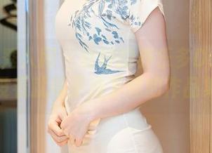 Xiuren秀人网 – 说好的养乐多DoDo礼服，没看就等于没下载的作品集！