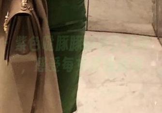 微密圈 – 紫色哒豚豚的办公室梦：看图集，感受每寸灵感涌动